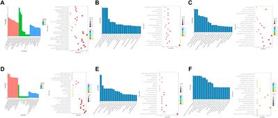 The mapping of mRNA alterations elucidates the etiology of radiation-induced pulmonary fibrosis